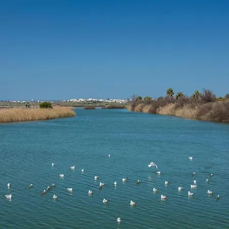 Anchor By Ici Algarve 阿尔布费拉