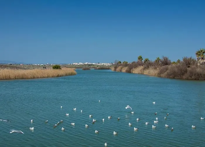 Anchor By Ici Algarve Albufeira